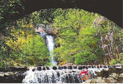 范伟锋：寻春天台山