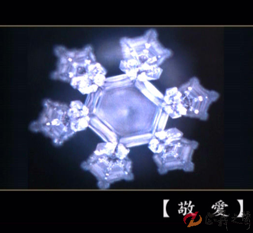 刘卫：万物有灵皆需爱