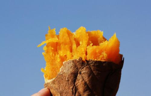 王定业原创：在吃红薯的岁月里