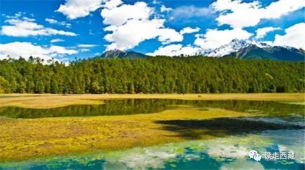 西藏党史学习教育：接地气 全覆盖 办实事