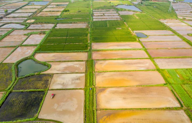 确保实现旱涝保收、高产稳产 高标准农田建