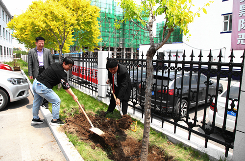 吉林抚松法院补植绿化树推动“绿美抚松”建