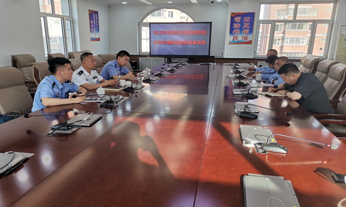 省法院法警总队总队长王军到临江法院检查指