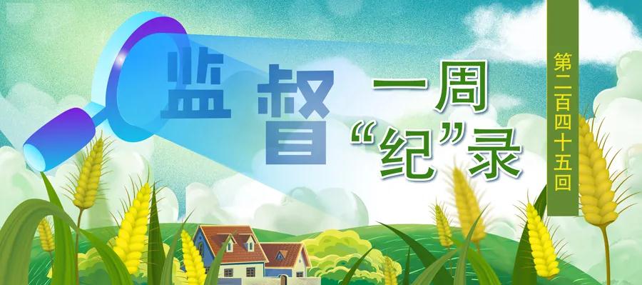 严查微腐败、防止干部麻痹松劲……乡村振兴
