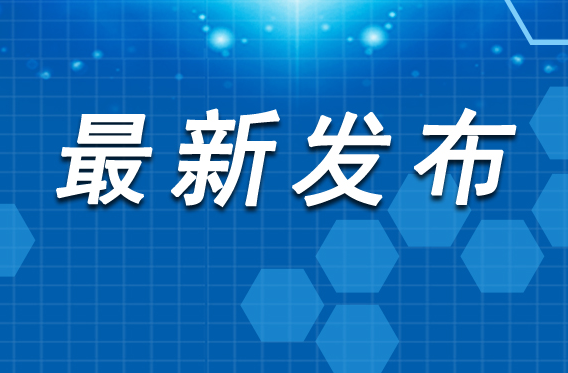 我国已构建起四级粮食质检网络