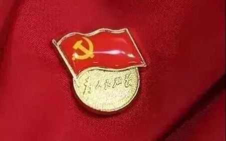 党内统计公报显示 中国共产党始终保持旺盛