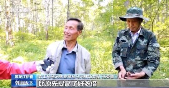 坚守46年造林百万株 党员张英善：“树在