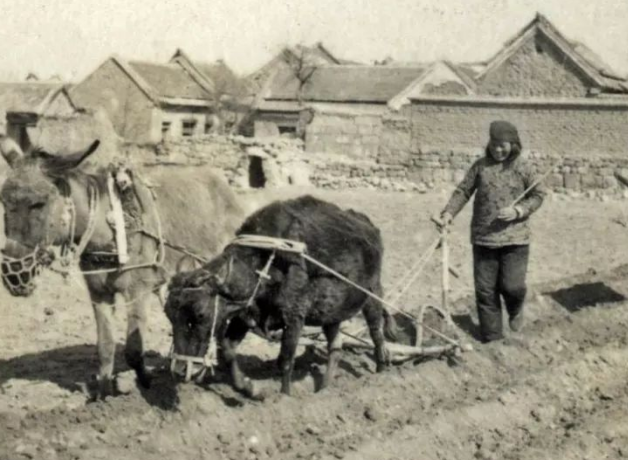 1625647095636533.png 1.png