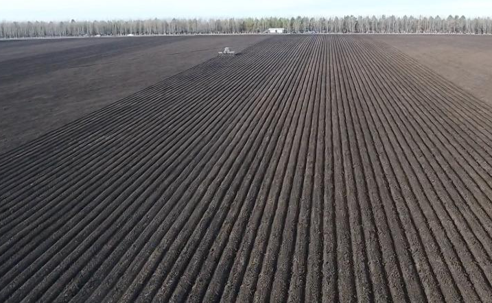 黑土地资源不容破坏 非法侵占受法律严惩