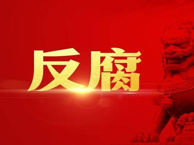 哈尔滨市政府原副市长王沿民严重违纪违法被