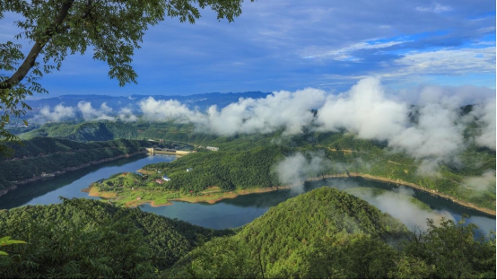 西峡县特色农业发展现状及对策