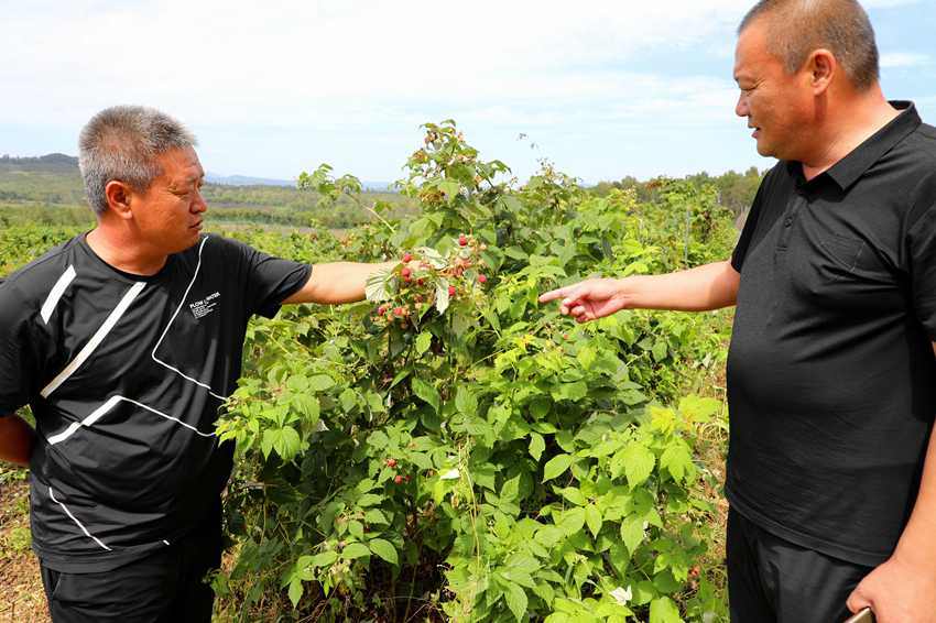 吉林抚松法院助力乡村振兴办实事