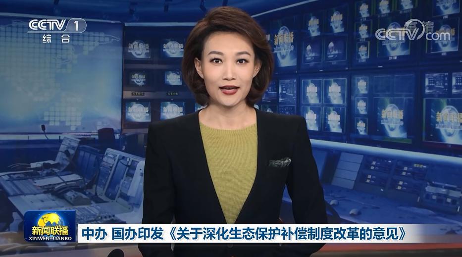 中办国办印发意见深化生态保护补偿制度改革