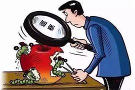 巡察组在行动 | 网络赌徒主动投案