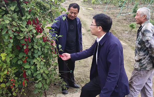吉林抚松法院慰问脱贫群众 助力乡村振兴