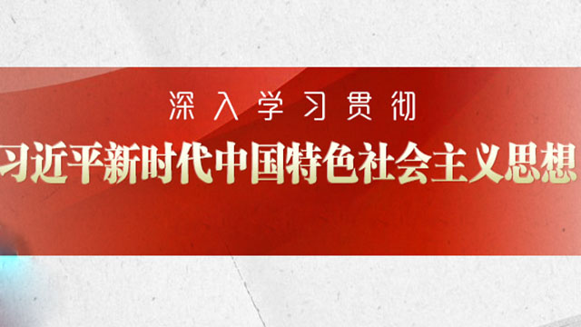 学习习近平法治思想心得体会