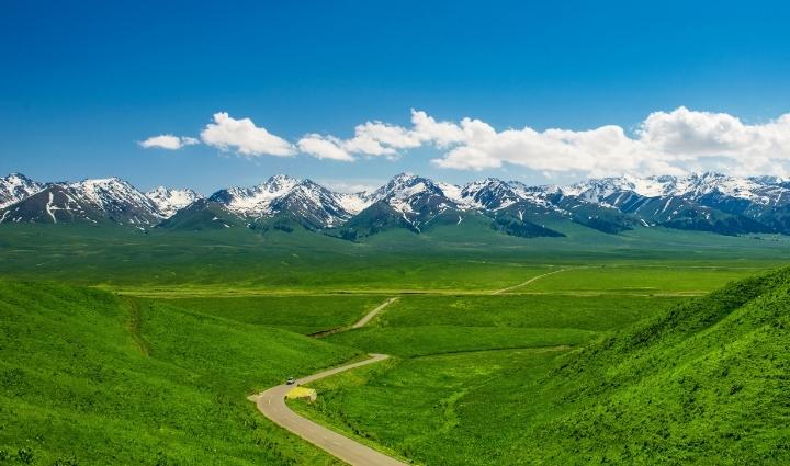 共建万物和谐的美丽家园（共建地球生命共同