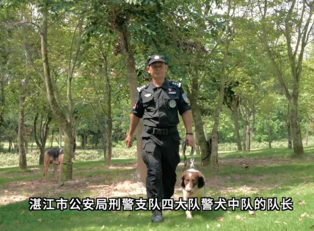 训导警犬31年，他和警犬拍档破案千余宗
