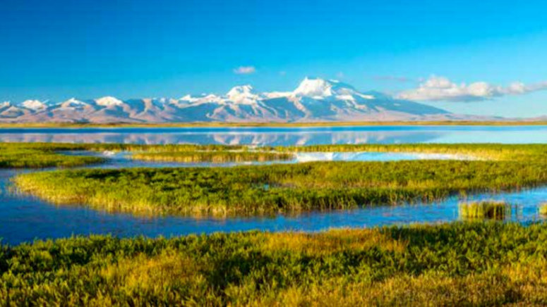 中共中央 国务院印发《黄河流域生态保护和