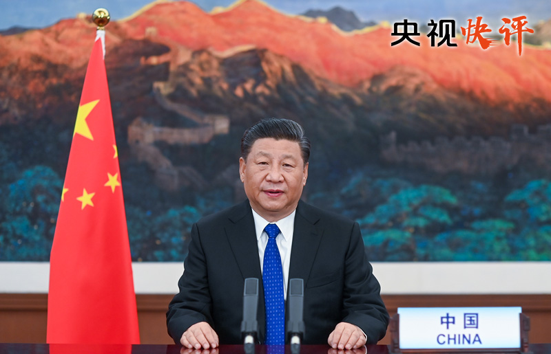 携起手来，共同构建地球生命共同体