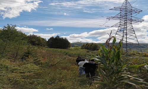深入山林腹地 现场踏查办案