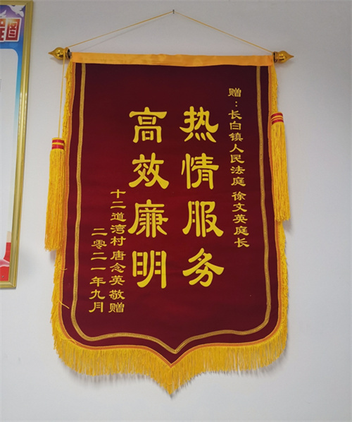 法官上门调解暖人心 当事人送锦旗致谢意