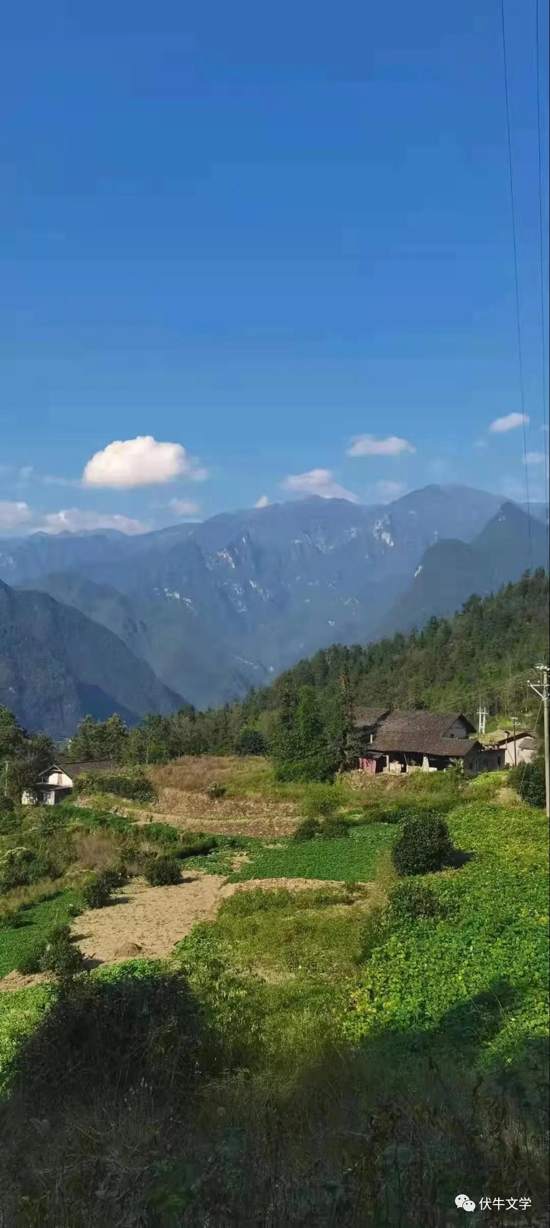 1635493156214708.jpg 微信图片_20211029152909.jpg