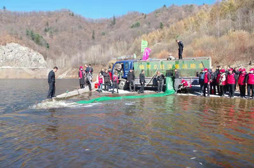 吉林抚松：开展头道松花江渔业资源增殖放流