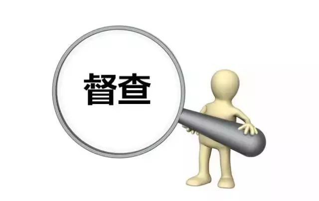 以真督实察助推法治政府建设