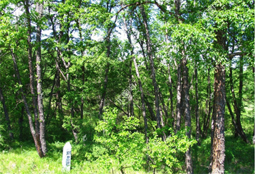 莫贪小利误前程