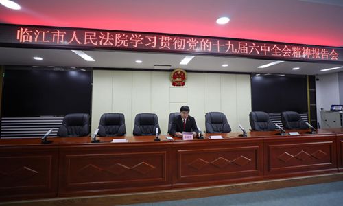 临江市人民法院召开学习贯彻十九届六中全会