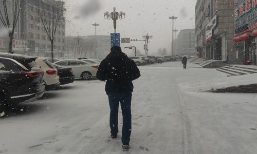 急雪舞回风  执行进行时