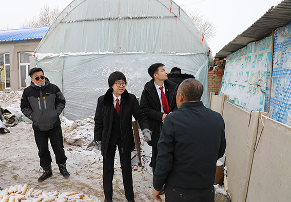司法之花向阳开 凛冬调解化恩怨