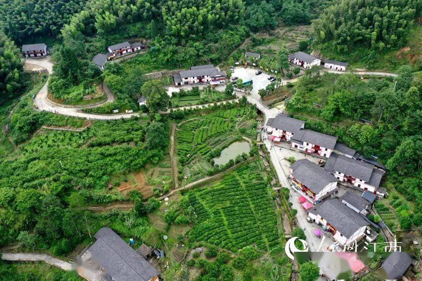 “我们的日子一天比一天好”（总书记和我握