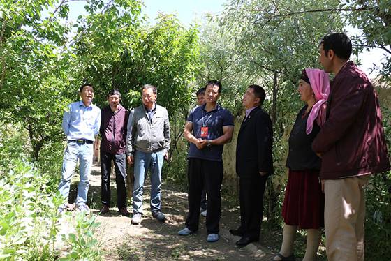 聚焦“两个维护” 强化政治监督