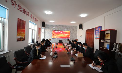 临江市人民法院召开党史学习教育专题民主生