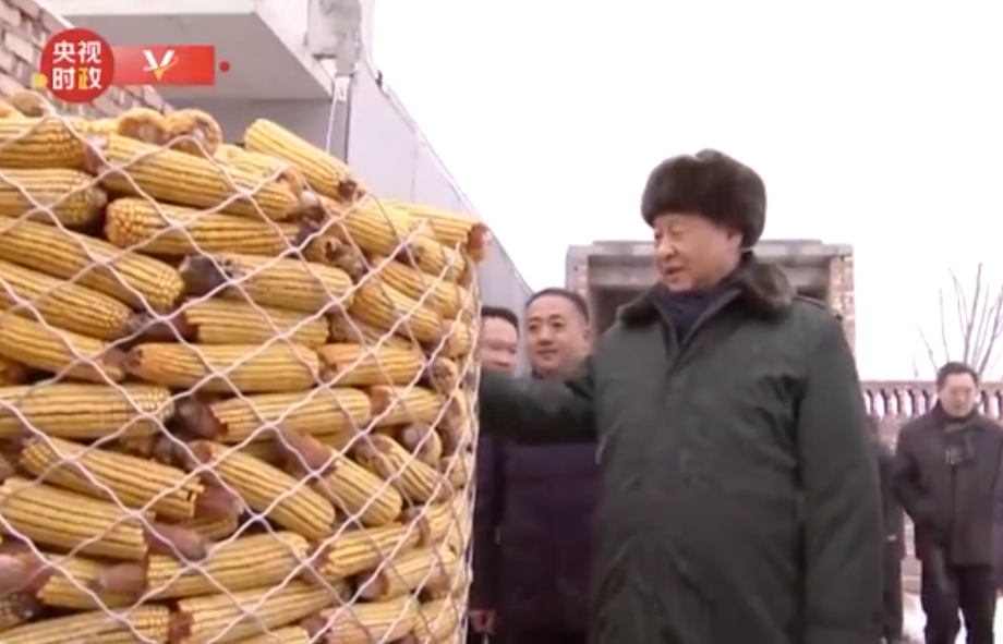 大地微微暖气吹——总书记赴山西农村看望慰