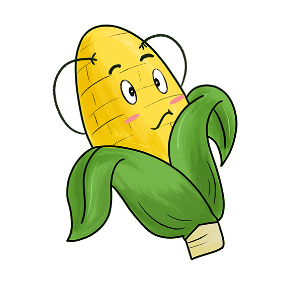 玉米收成不好的损失究竟谁来承担？