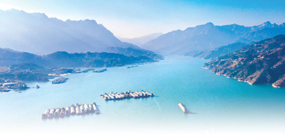 法治协同  守护长江（美丽中国）