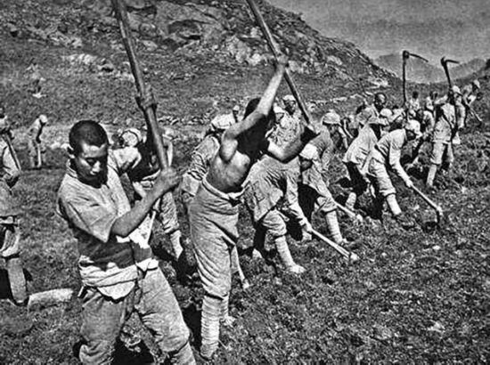 美军观察组眼中的中国共产党