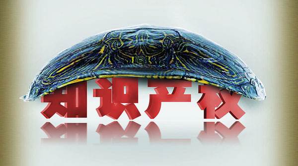 知识产权事业稳步推进（稳健前行开新局）