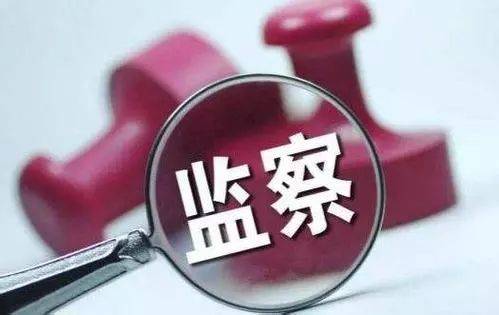 纪检监察机关开展非农化非粮化整治情况专项