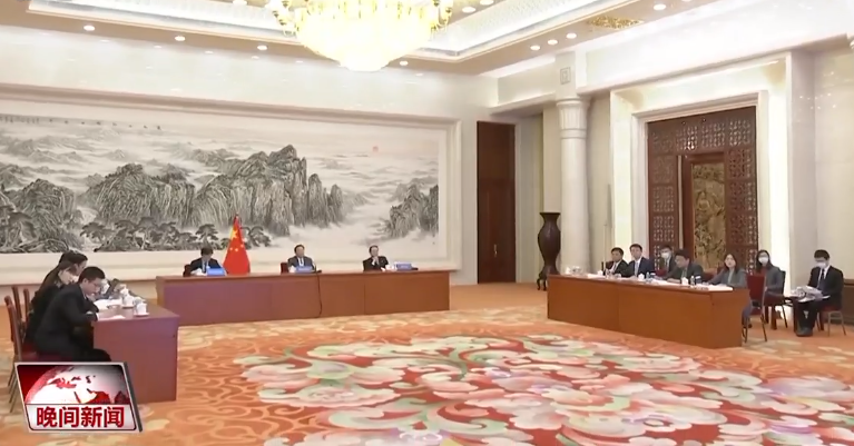 王晨与尼日尔国民议会第一副议长视频会晤
