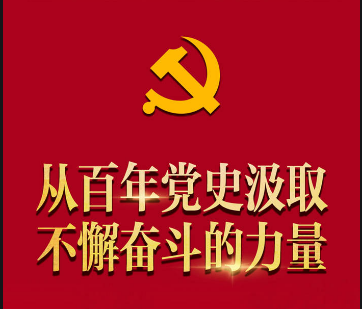 从党的百年奋斗历程中汲取智慧和力量