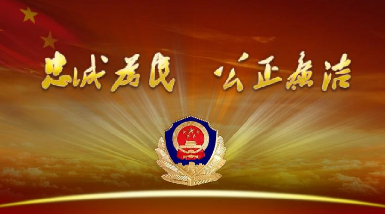 去年公安机关共侦破侵犯知识产权和制售伪劣