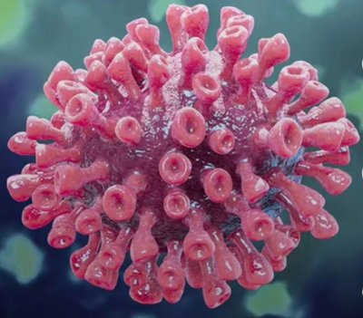 北京新增本土新冠肺炎病毒感染者4例