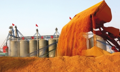 黑龙江深化粮食购销领域腐败问题专项整治