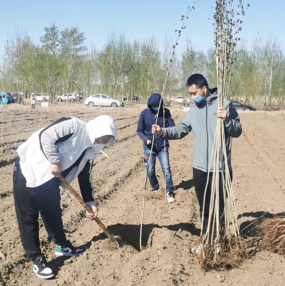 乾安法院：植树造林 共建绿色家园