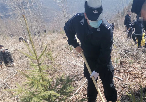  绿化现场  警徽闪耀