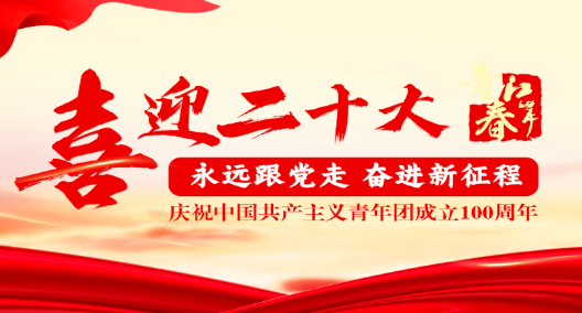 各级团组织开展“喜迎二十大 永远跟党走 